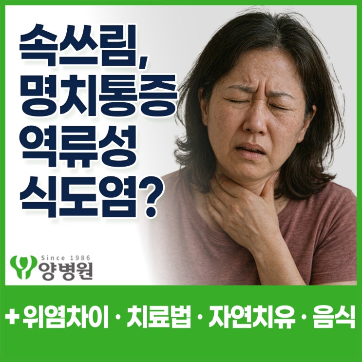  속쓰림 · 명치 통증 · 기침이 계속된다면? - 역류성식도염 증상과 위염 차이, 치료 · 치료약 · 자연치유 · 음식 | 길동역 소화기내과