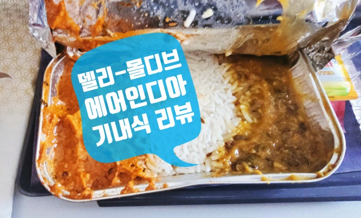  델리출발 몰디브 여행 에어인디아 왕복 기내식 리뷰