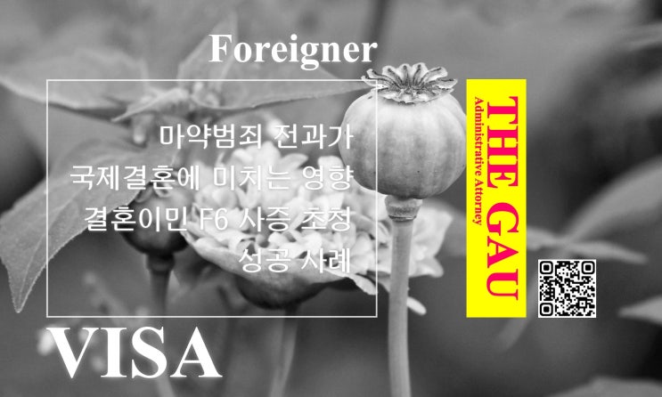  마약범죄 전과가 국제결혼에 미치는 영향과 결혼이민 F6 사증 초청 성공 사례