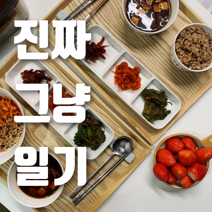  진짜 그냥 일기 | 집밥 일기, 평일의 운정스타필드, 군악연주회