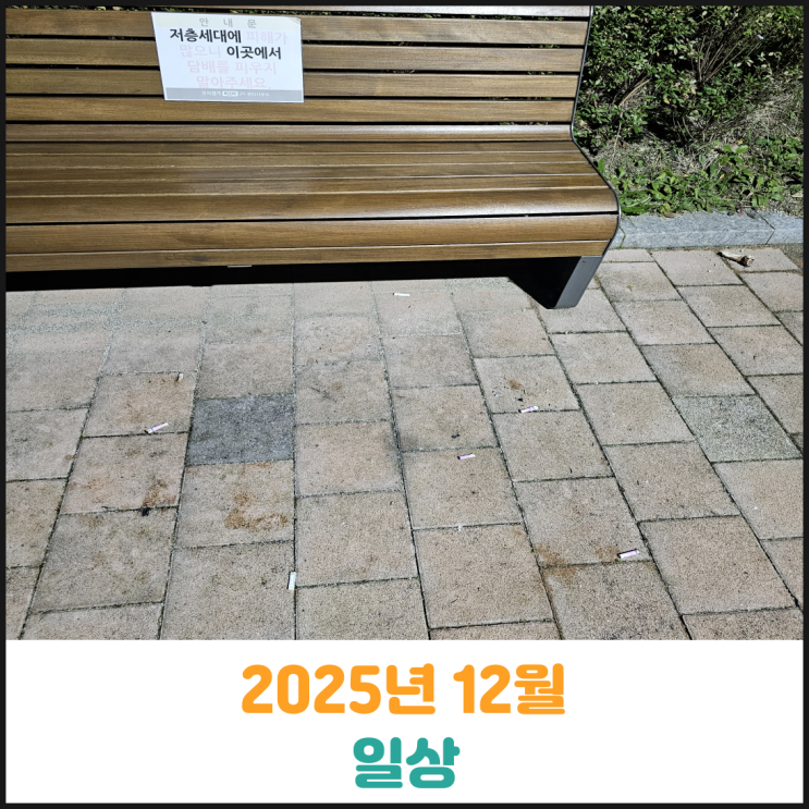  2025년 12월 일상