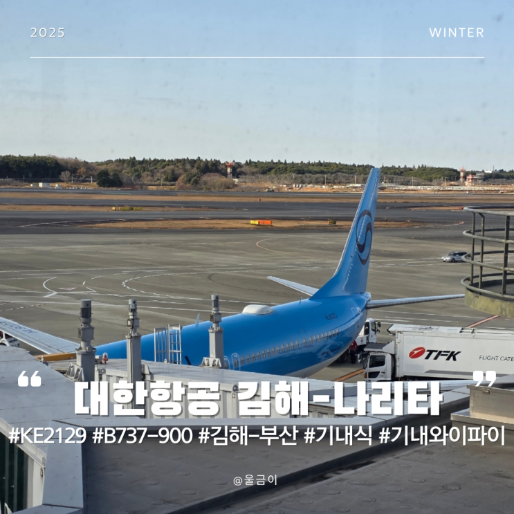  부산 김해-일본 나리타 대한항공 KE2129 B737-900 일반기내식 와이파이 사용 법 이용 후기