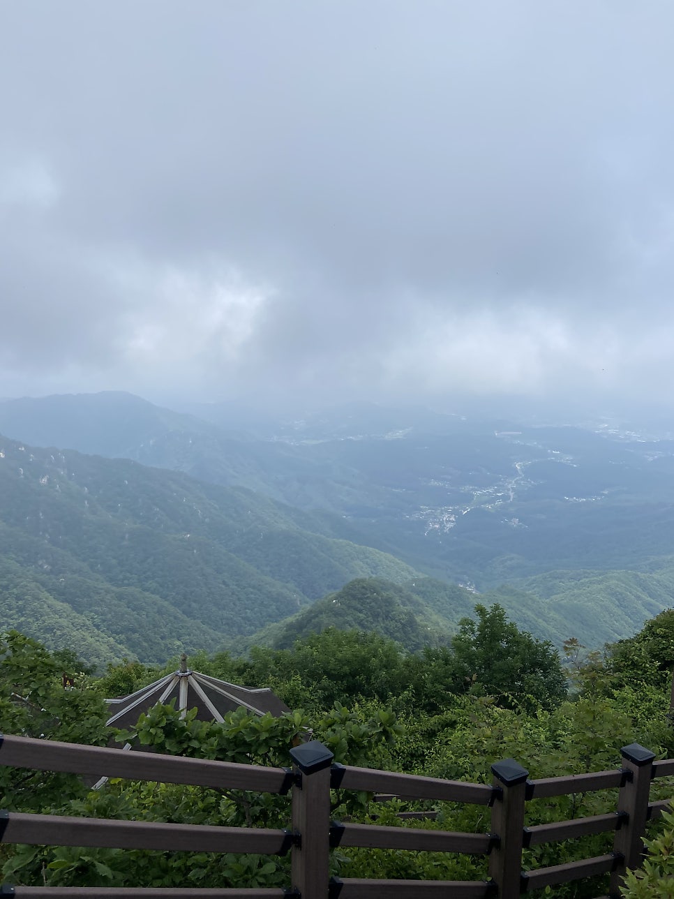 함지박 사진 3