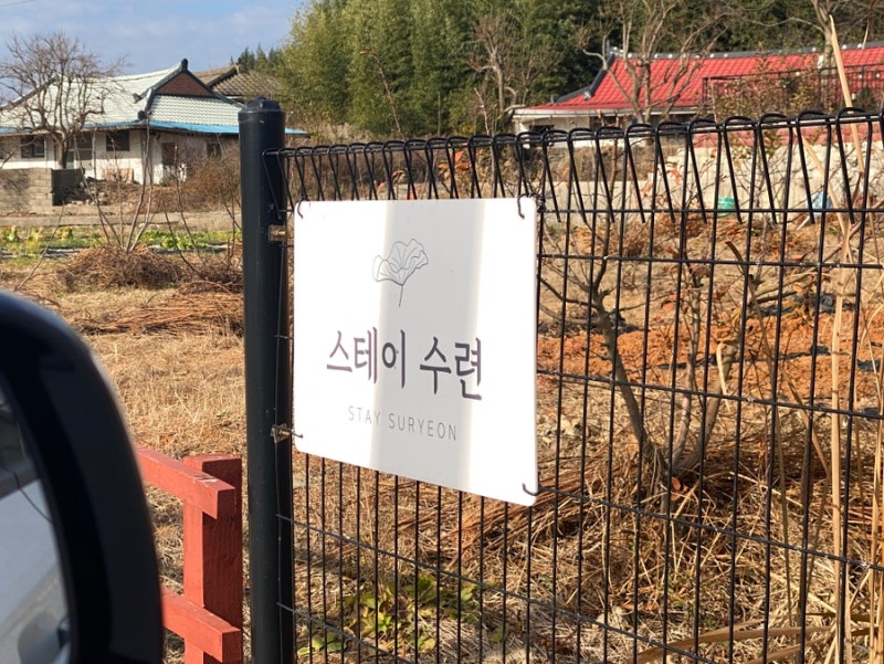 사진 4