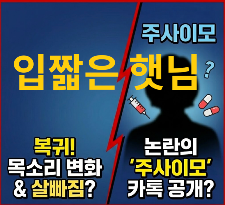  입짧은햇님 주사이모 논란, 30kg 감량의 진실은? (디스패치 카톡 분석)