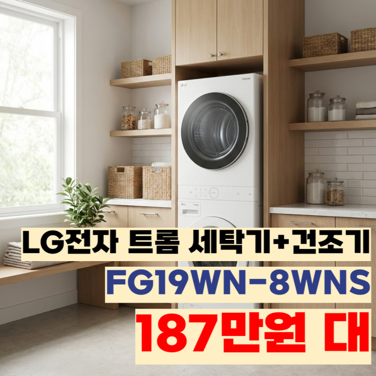  LG 워시타워 대신 분리형 세트를 선택하고 100만 원 아낀 후기 (FG19WN-8WNS)