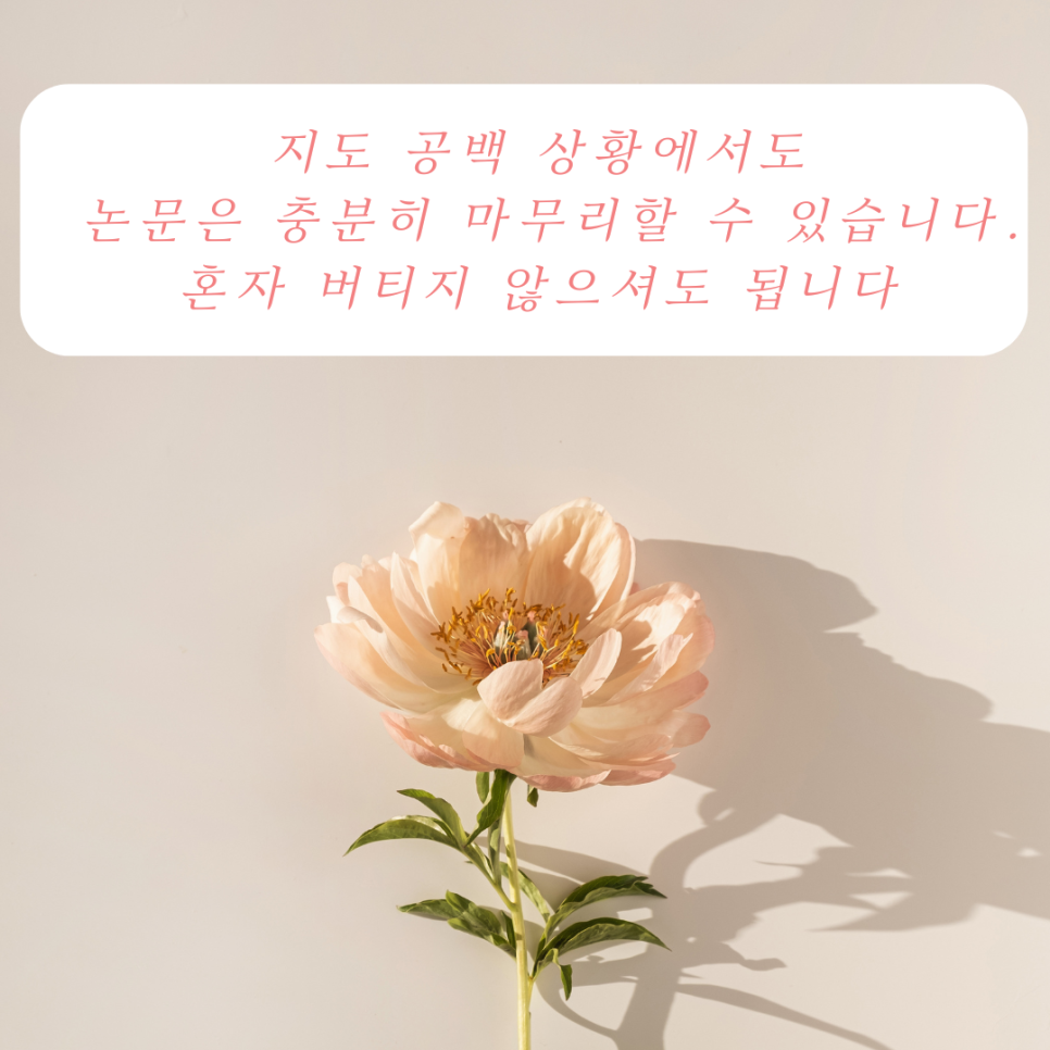 관련 이미지
