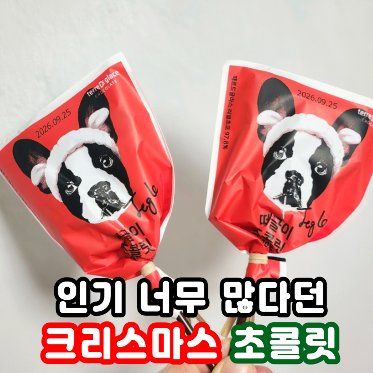  크리스마스 초콜릿 어린이집 간식 선물 추천 떼르드글라스 유기농