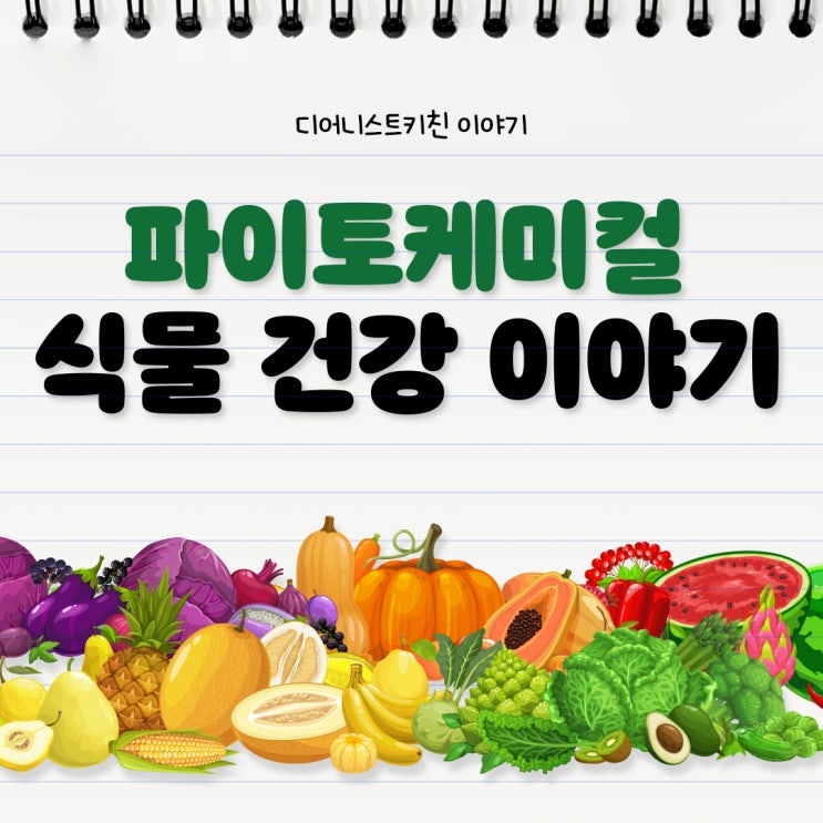  강아지화식 대안 디어니스트키친의 피토케미컬 (파이토 뉴트리언트) 이야기
