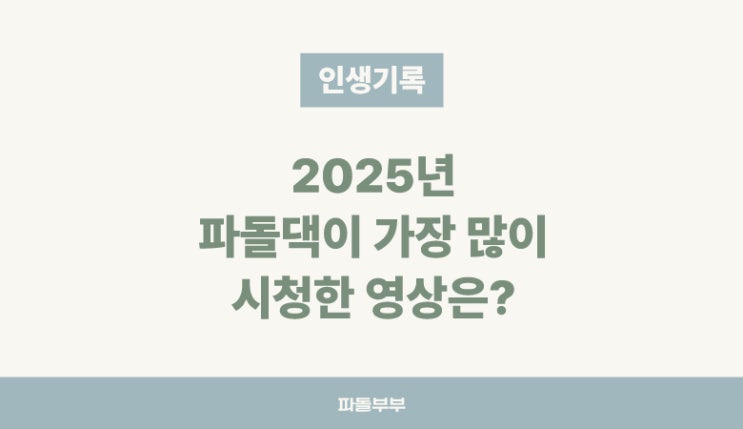  2025년 파돌댁 유튜브 관심사 결산