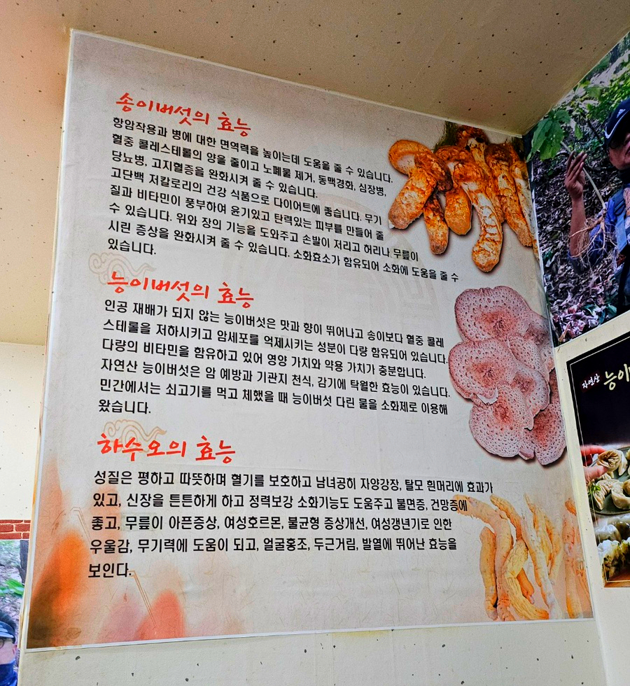 산야초백숙 사진 1