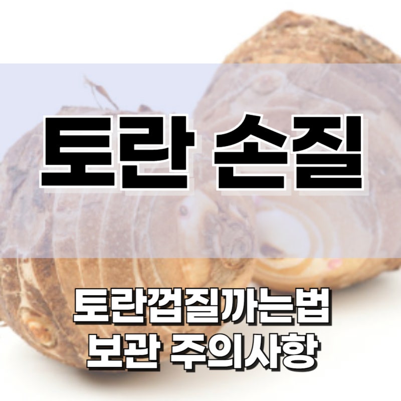 토란 껍질 까는법 보관, 좋은 토란고르는법
