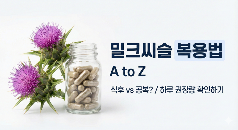 밀크씨슬효능 제대로 보려면? 복용시간 하루 권장량 공복 vs 식후 완벽 정리