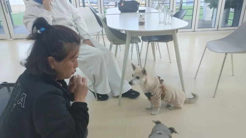 사진 2