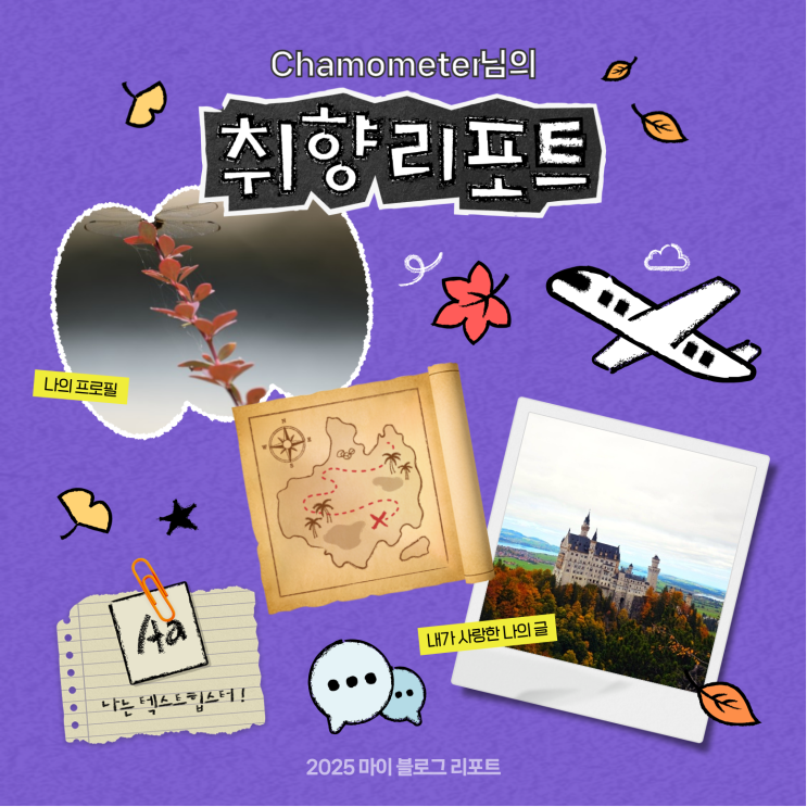  [2025 마이 블로그 리포트] 데이터로 채워보는 내 블로그 취향 리포트