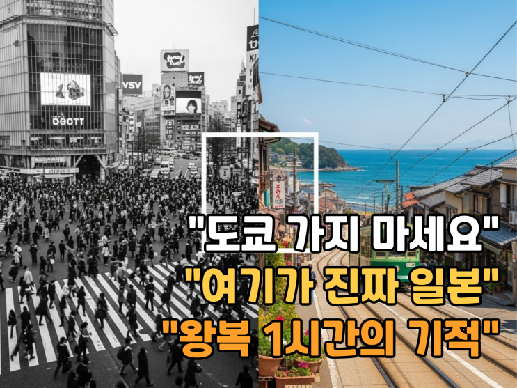  도쿄 여행 5회차의 결론: 신주쿠 버리고 '여기' 갑니다 (현지인만 아는 힐링 코스)