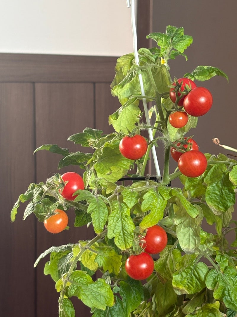 2025년을 마무리하며 / 프리랜서 보름달 연말 일상 : 네이버 블로그