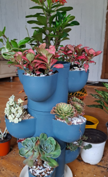 일상이 풍성하고 행복해지는 반려식물용품 전문 쇼핑몰 !