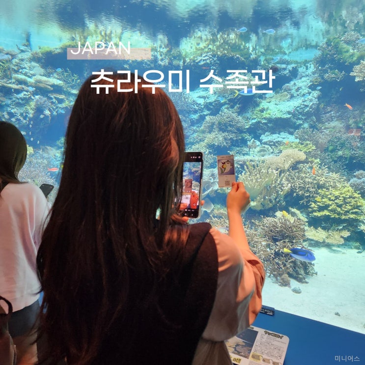  오키나와 북부여행 츄라우미수족관 돌고래쇼 입장권 가격