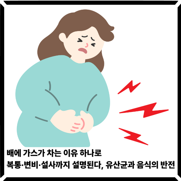  배에 가스가 차는 이유 하나로 복통·변비·설사까지 설명된다, 유산균과 음식의 반전