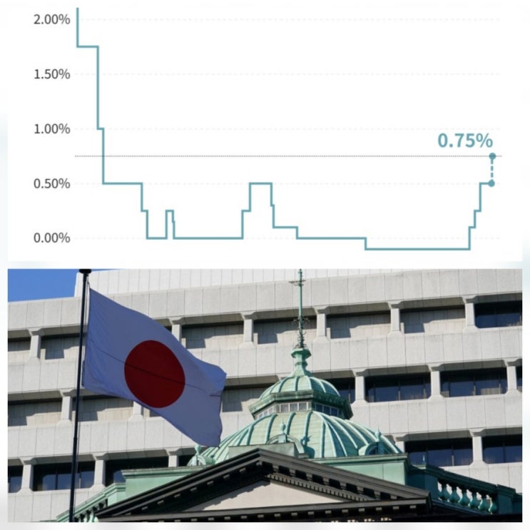 일본 금리인상 이유 시기 영향 엔화 주식 전망 분석