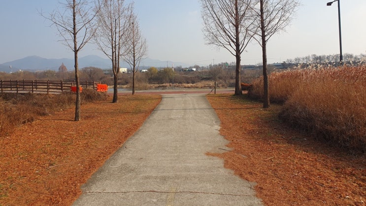  알뜰하게 돈 쓰는 법, 작은 습관이 큰 차이를 만듭니다