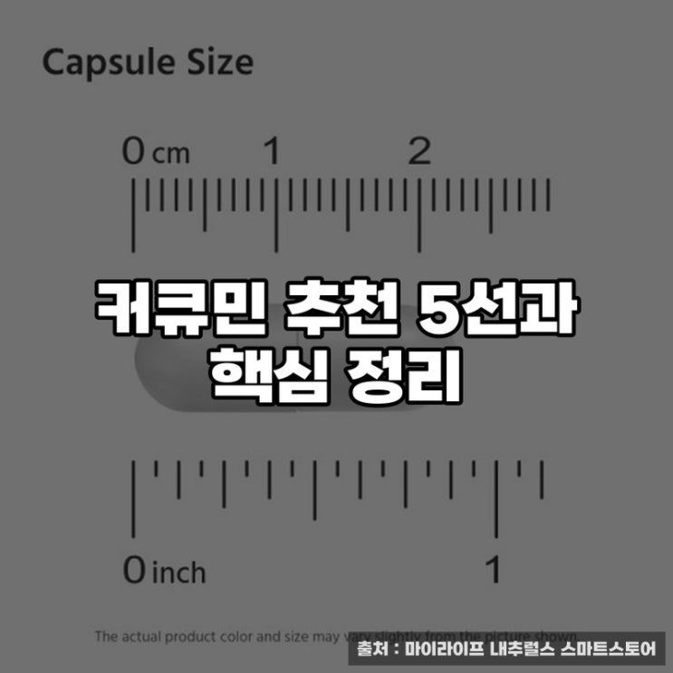  커큐민 추천 5선과 핵심 정리