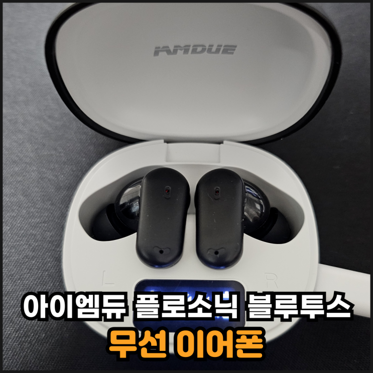  가성비 최고 아이엠듀 플로소닉 블루투스 무선 이어폰 후기