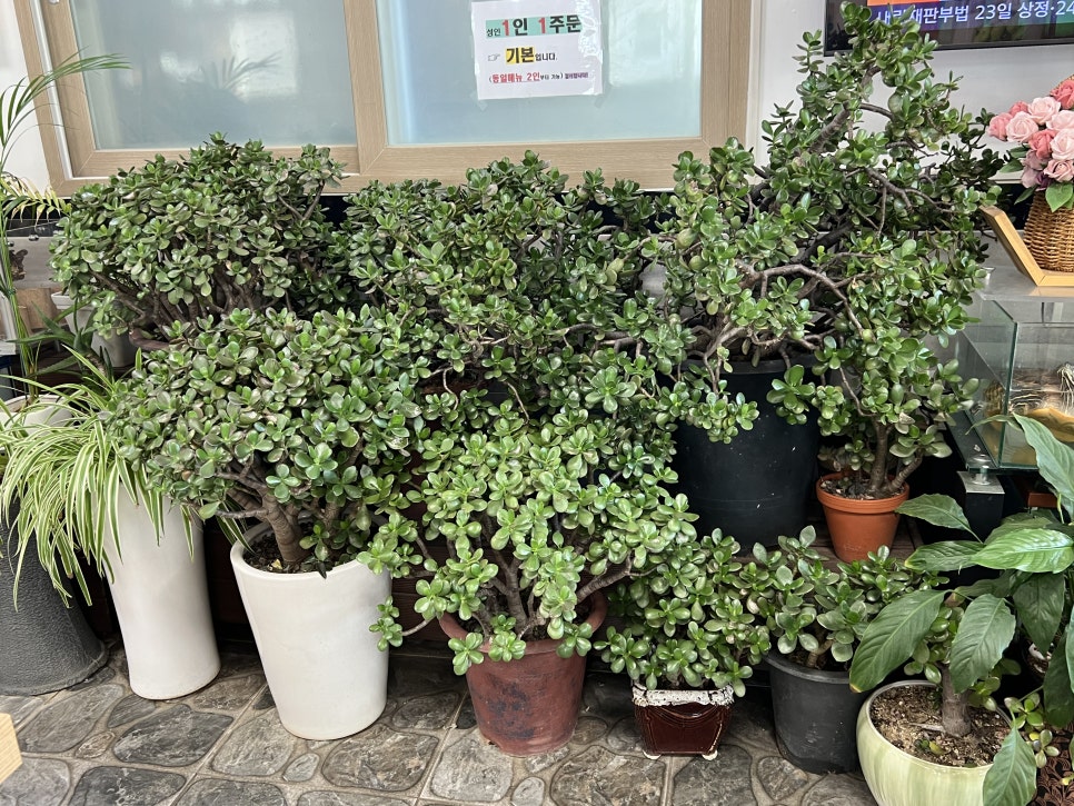 이가쌈밥 사진 6