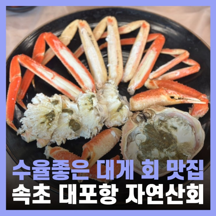  속초 가성비 횟집 대포항 대게 바다 신대륙