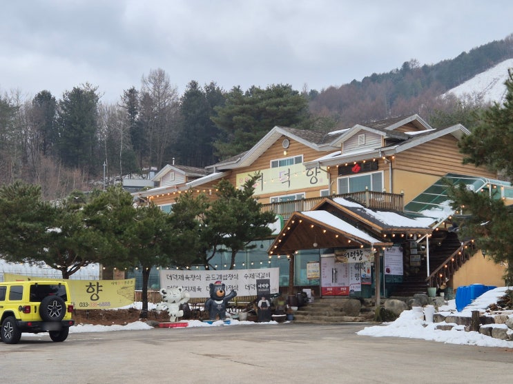  [평창 근본 굴비] 비린내 제로! 입안에서 녹는 인생 보리굴비, 평창 봉평 '더덕향' ️