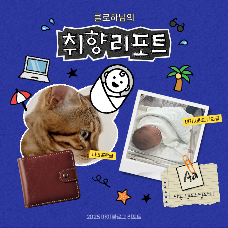  [2025 마이 블로그 리포트] 데이터로 채워보는 내 블로그 취향 리포트