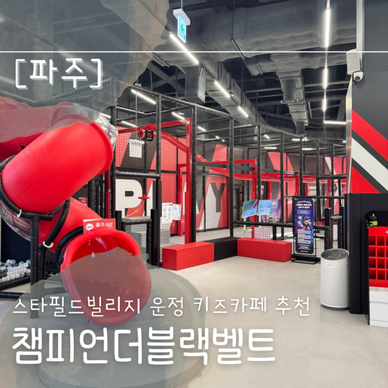 스타필드 운정 키즈카페 챔피언더블랙벨트 솔직 방문후기