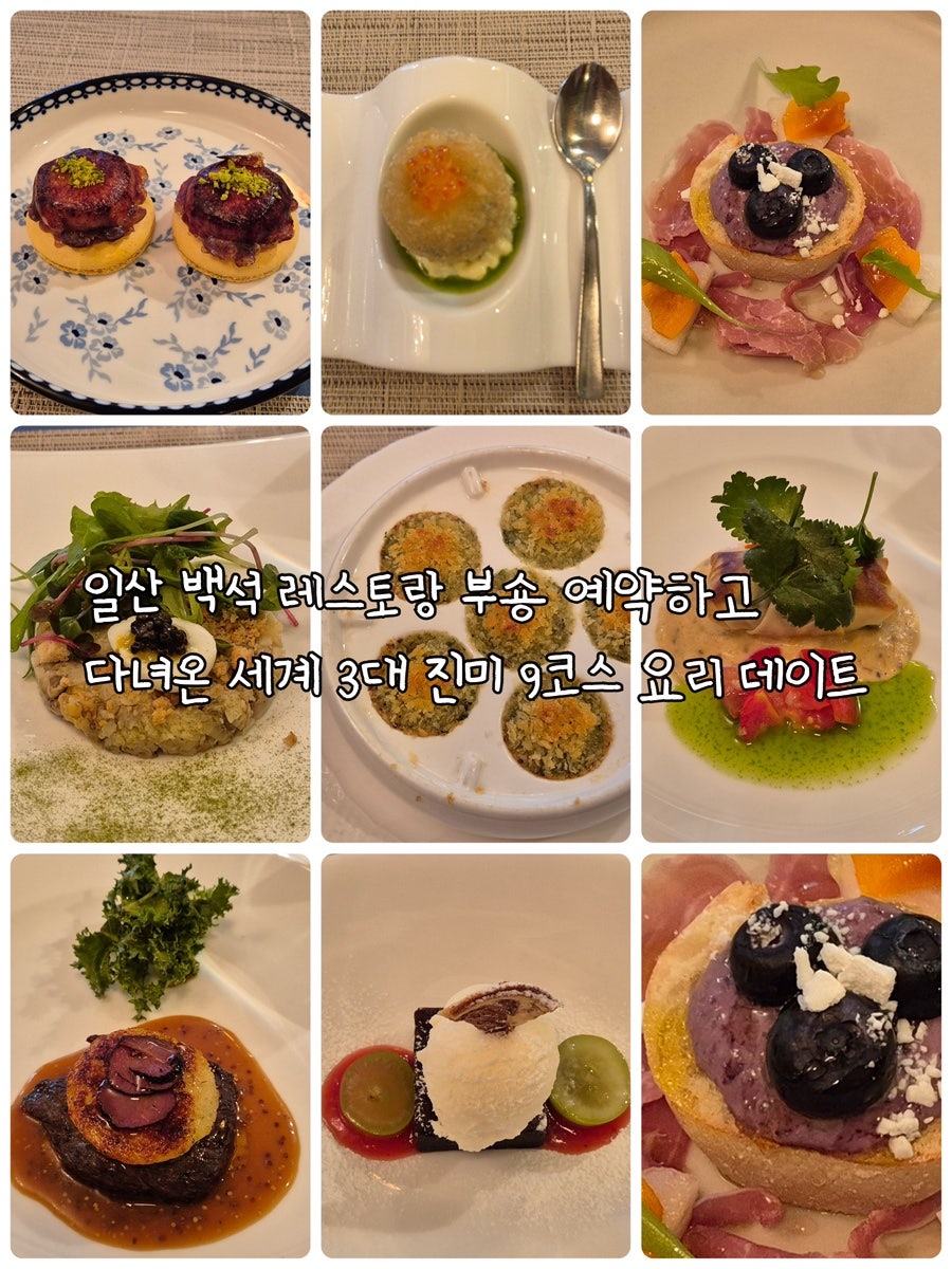 부숑 사진 1