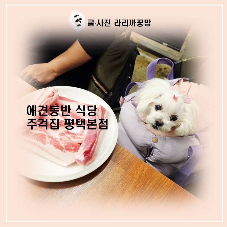  꿍이랑 고기 파티! 주걱집 평택본점 네이버 예약하고 '한우육회 서비스' 받는 꿀팁