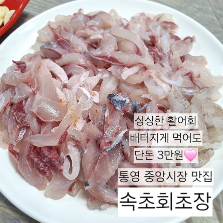  (속초회초장) 통영 중앙시장 갓성비 싱싱한 활어 횟집 초장집 추천, 회포장 맛집