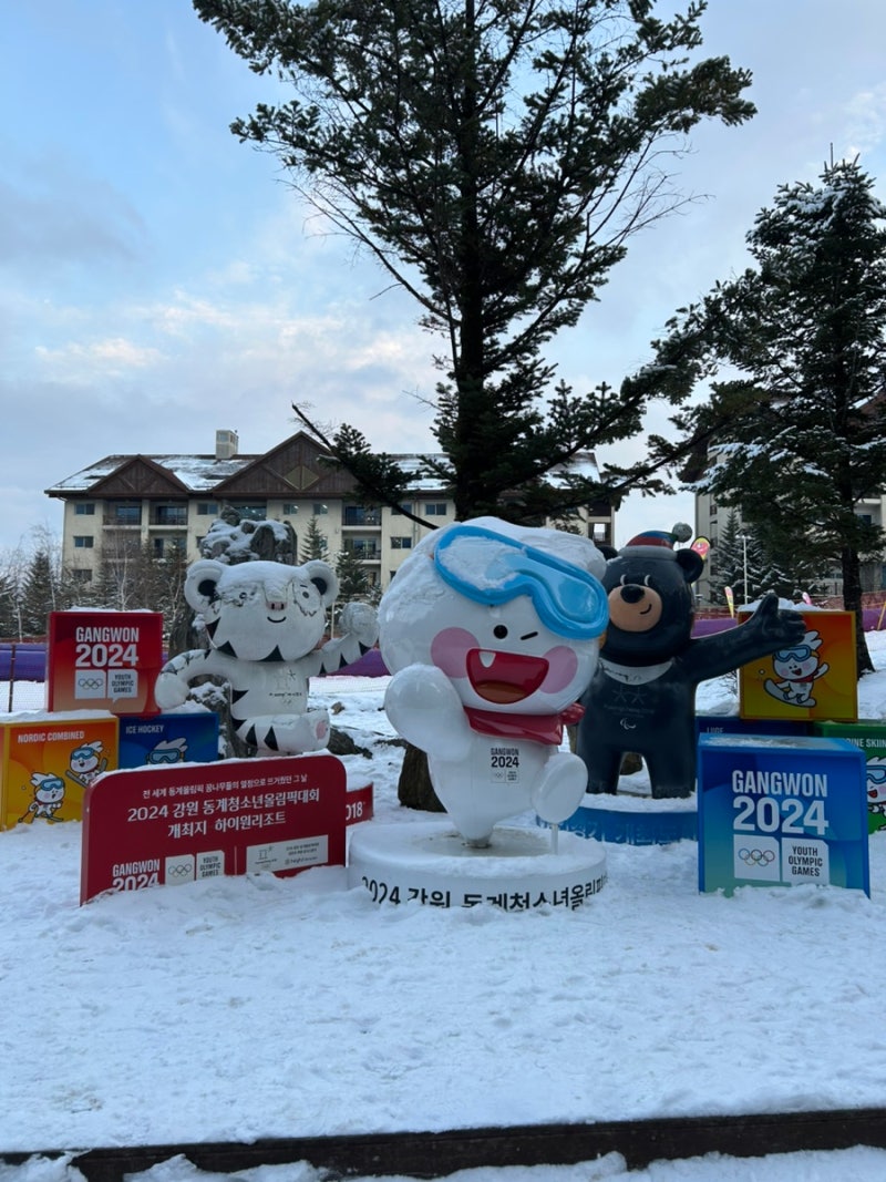 ⛷️누가 금잔디 스키 못 탄다고 했나