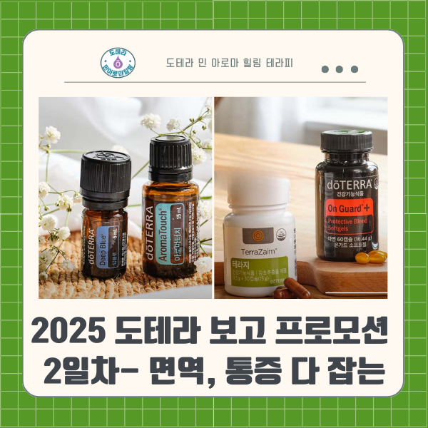  [도테라 BOGO 프로모션] 면역력+근육통까지 한 번에 2일차 구성 총정리