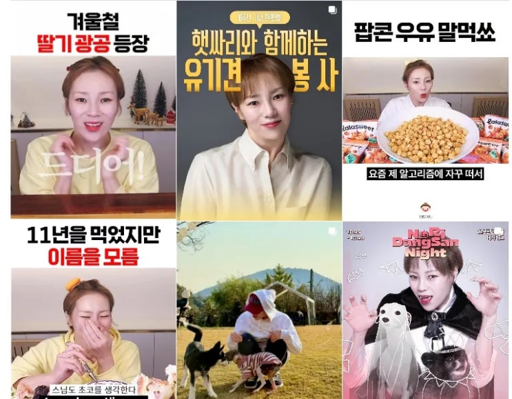 <b>입짧은햇님 나비약</b> 복용 <b>논란</b>과 방송 활동 중단