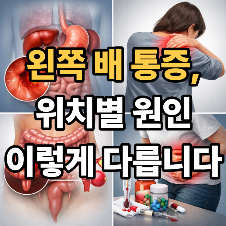  왼쪽 배 통증, 그냥 넘기면 안 되는 이유 