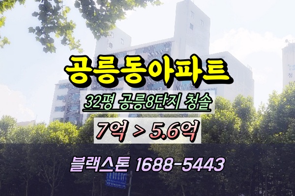  공릉동아파트 경매 이수청솔8단지 1층 32평