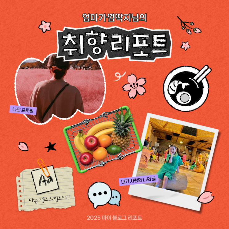  [2025 마이 블로그 리포트] 데이터로 채워보는 내 블로그 취향 리포트