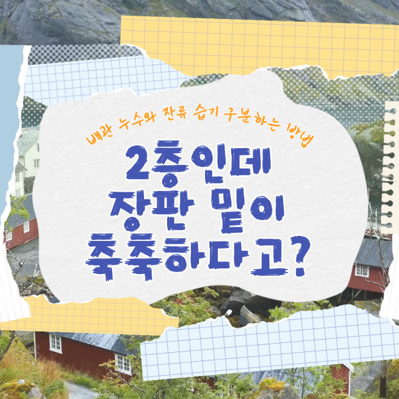 2층인데 장판 밑이 축축하다? 배관 누수와 잔류 습기 구분하는 방법