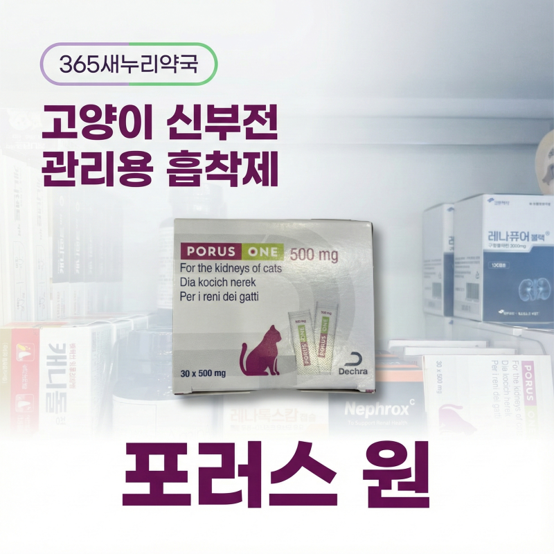 포러스원 효과｜고양이 신부전에서 Renaltec 흡착제의 정확한 역할