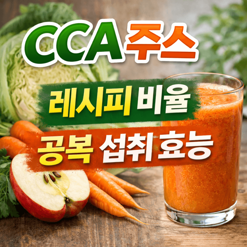 CCA 주스 만들기 레시피 비율과 공복 섭취 효능