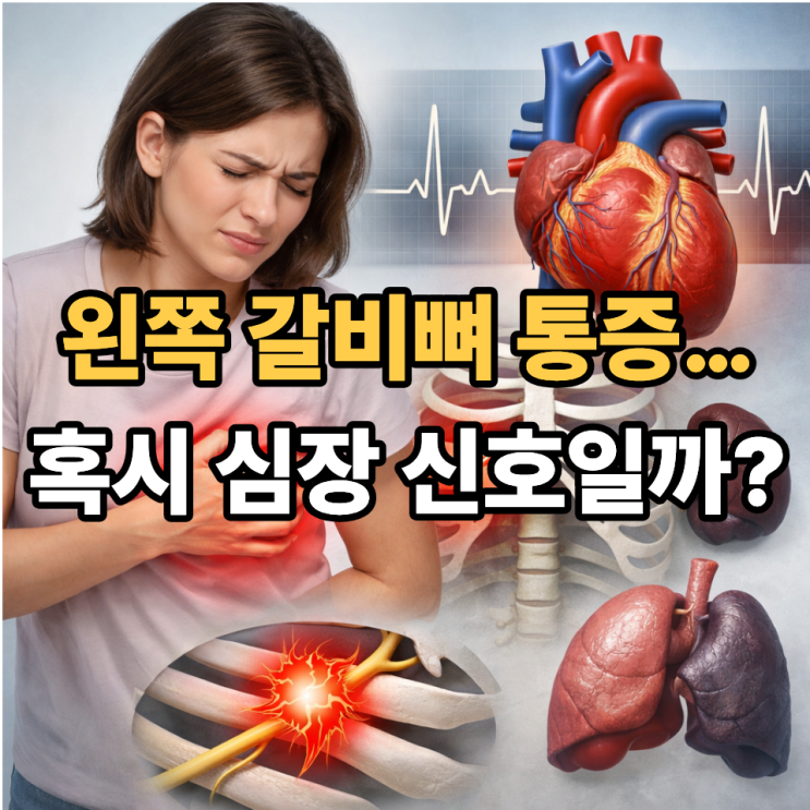   왼쪽 갈비뼈 통증 원인 총정리｜심장 때문일까? 근육통일까?