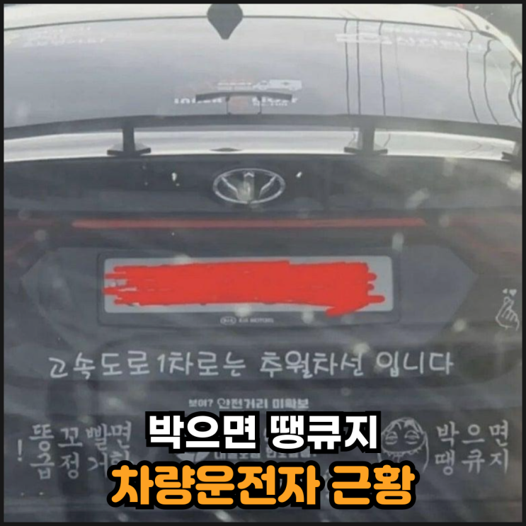  "박으면 땡큐지" 차량운전자 근황