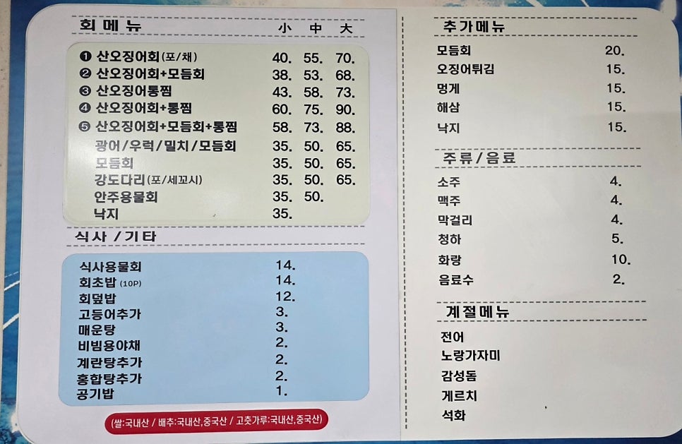 섬산오징어 사진 3