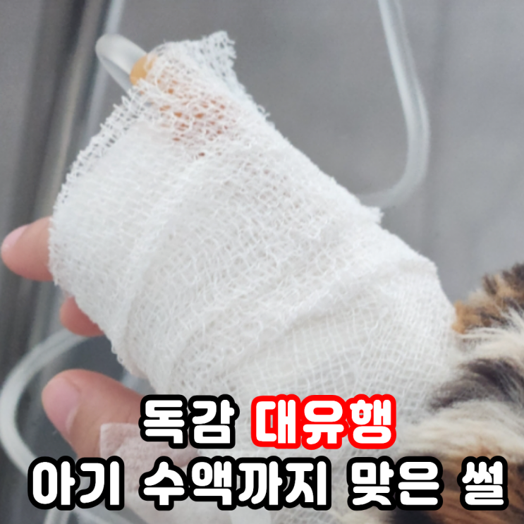  아기독감 검사 페라미플루 수액 맞고 고열 잡은 비결