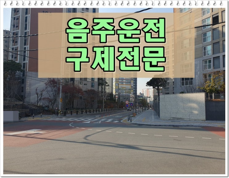  12년전 음주운전 0.049% 면허취소 2년 확정 진짜일까?